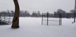 snowy field.jpg