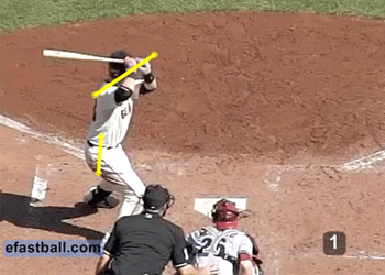 posey-coil-stride-catcher-view.gif