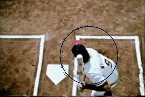 ted-williams-overhead-view.gif