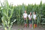 2013 ASA Nationals - cornfield.jpg