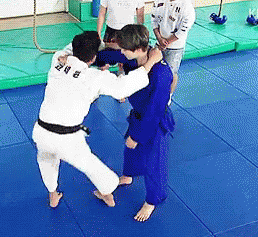 Judo..Throw.gif