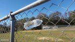 Water bottle in a fence.jpg